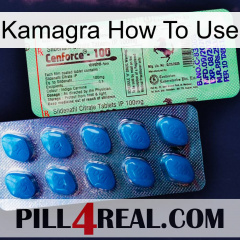 Kamagra How To Use new02